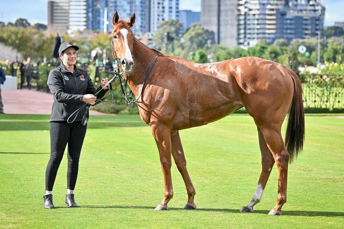 Picture of the author