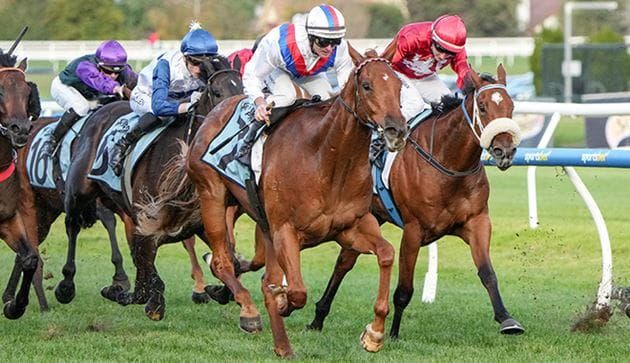 Debutant Stanley Express lands $1m The Showdown