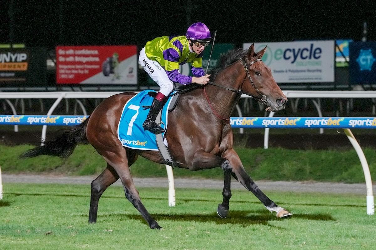 Picture of the author