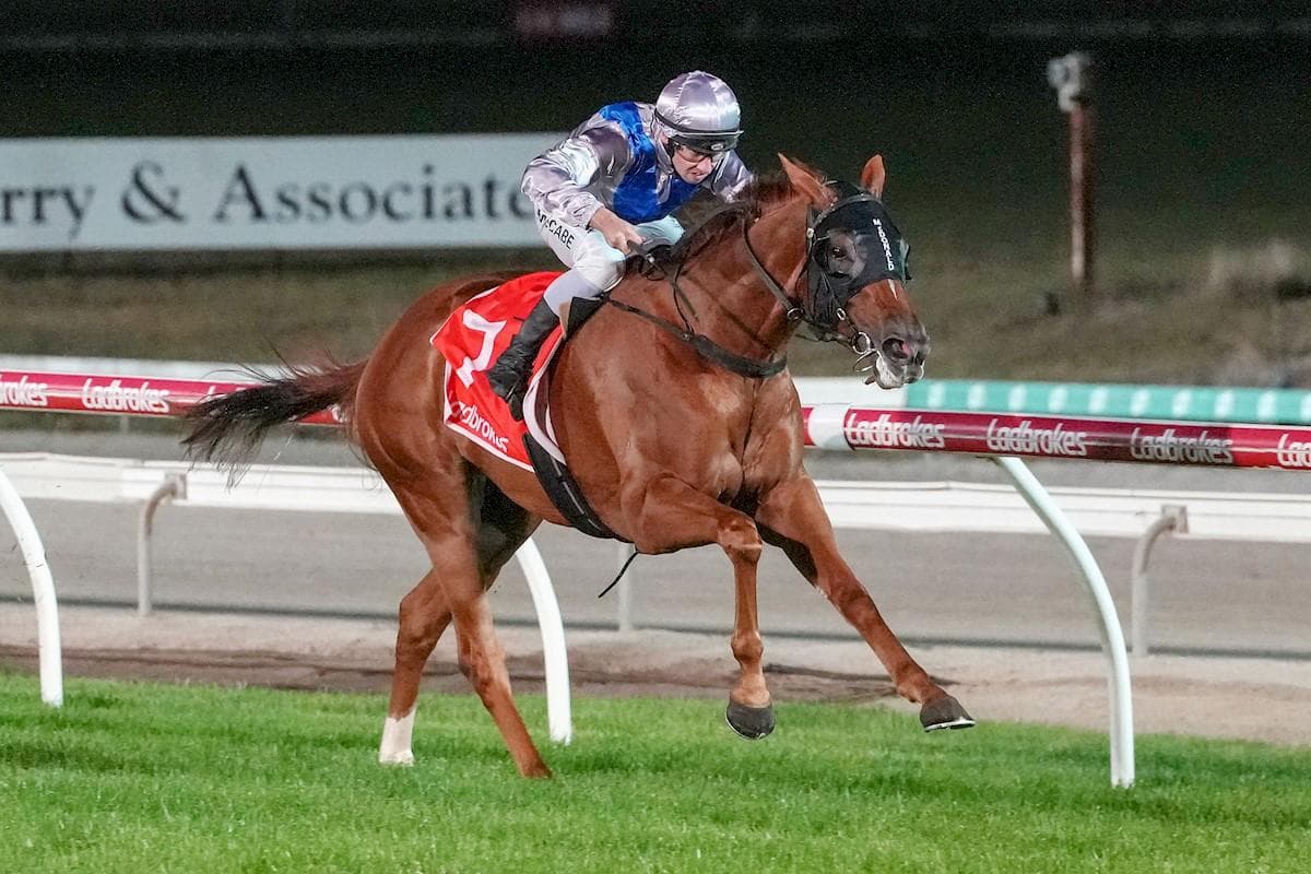 Picture of the author